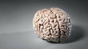 Что происходит при травме левого полушария мозга?