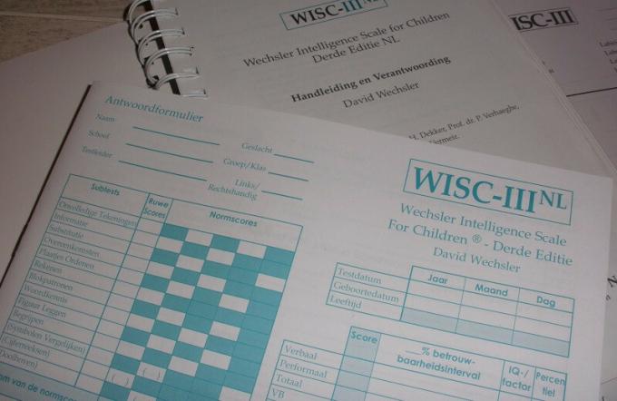 Teste WISC