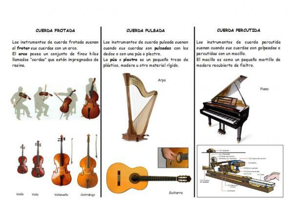 Instrumente cu coarde ciupite - Ce sunt instrumentele cu coarde ciupite