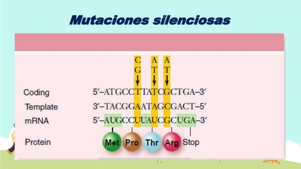 Co jsou tiché mutace - současná studie tichých mutací 