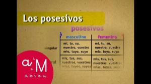 Possessive articles in Spanish