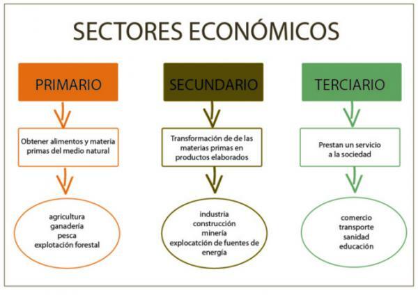 Primárny, sekundárny a terciárny sektor: príklady - Rozdiely medzi primárnym, sekundárnym a terciárnym sektorom