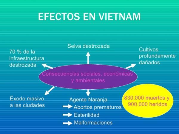 Conseguenze della guerra del Vietnam - Sommario