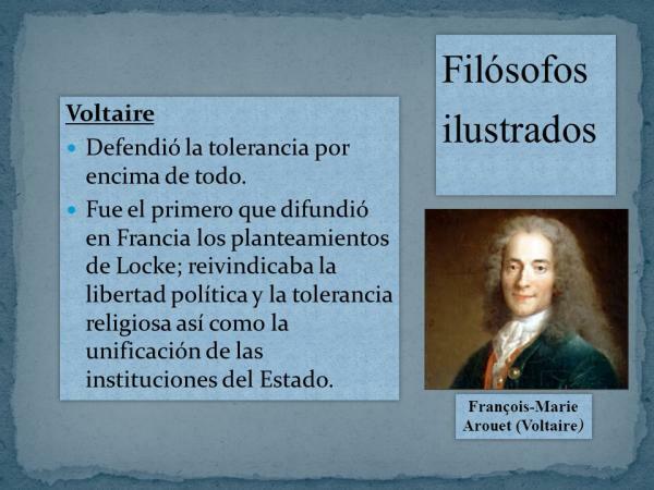 Voltaire: hovedideer - Hvilke ideer forsvarede Voltaire?