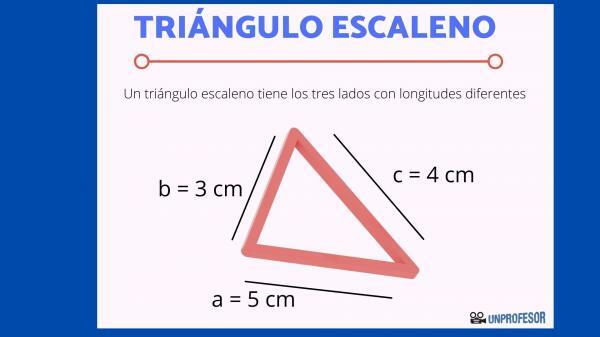 Skalenisches Dreieck: Eigenschaften und Formel - Lösung