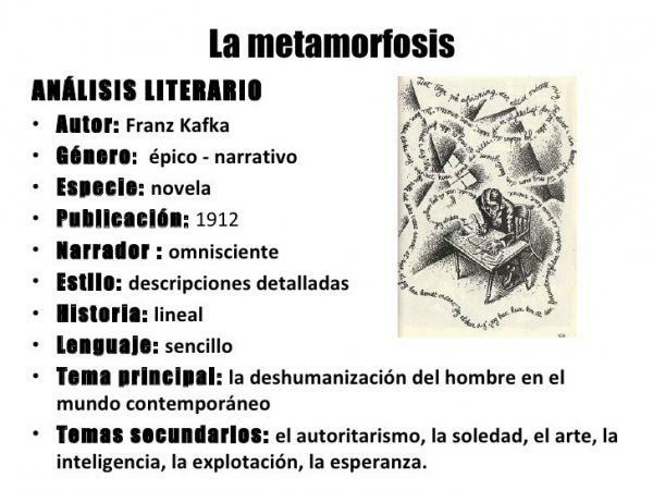 Метаморфозата от Франц Кафка - Кратко резюме - Повече информация за Метаморфозата