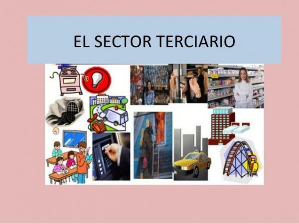 Tertiary sector: definition and examples
