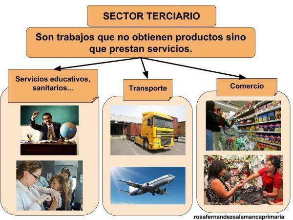Третичен сектор: определение и примери - Какво е третичен сектор?