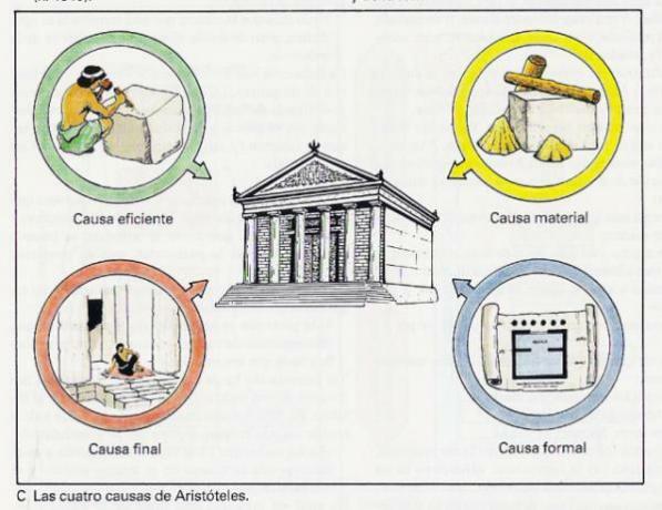 Le quattro cause di Aristotele: cause del movimento e del cambiamento