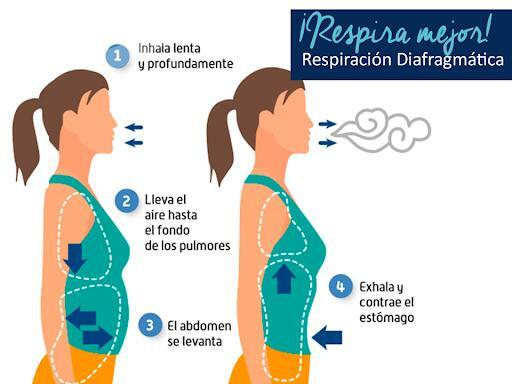 人間の呼吸の種類-腹式呼吸