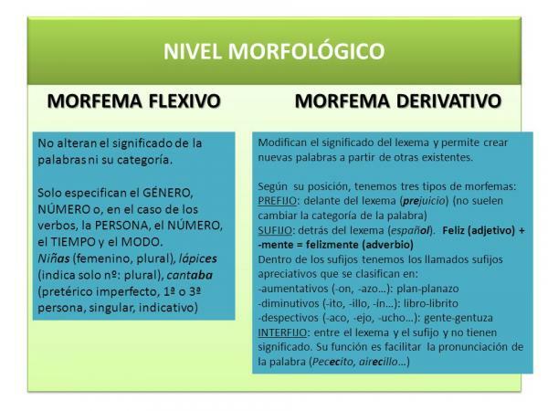 Difference between inflectional and derivative morpheme