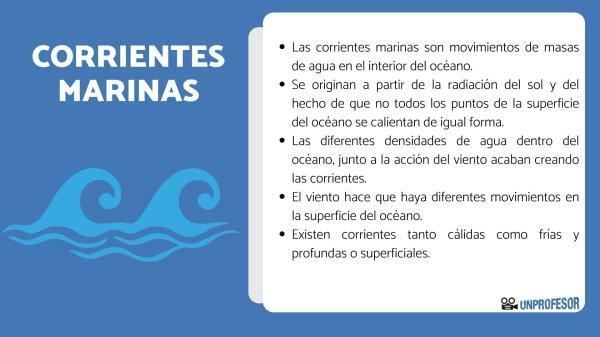 O que são correntes oceânicas - para crianças - Importância das correntes oceânicas