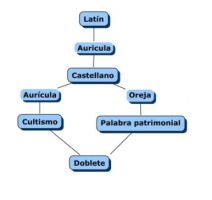Razlika između baštinskih riječi, kultizama i polukulturalizama