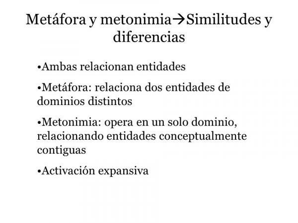 Metonimia e metafora: differenze - Principali differenze tra metafora e metonimia