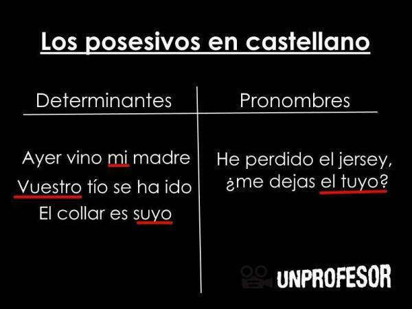 Example of possessive determiners in Spanish - Determinants: definition and function 