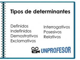 Types of determinants in Spanish