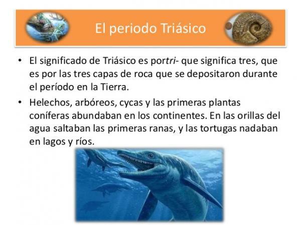 Triassic Period: main characteristics - Characteristics of the Triassic Period