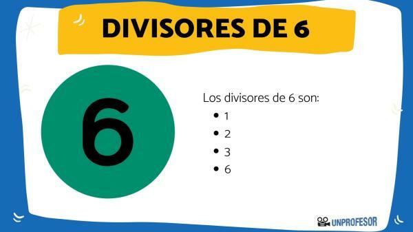 What are the divisors of 6