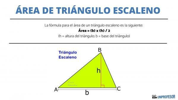 不等辺三角形の領域を見つける方法