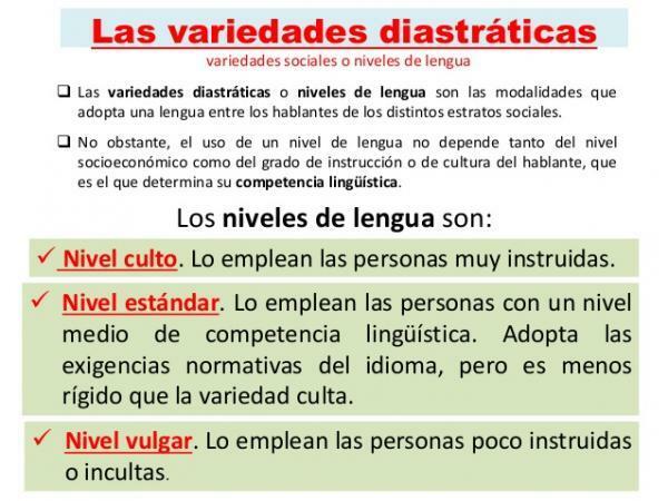 Variasi diastratik: karakteristik dan contoh - Apa variasi diastratik bahasa: definisi mudah 