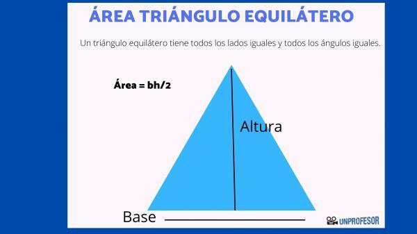Hvordan finne området til en likesidig trekant
