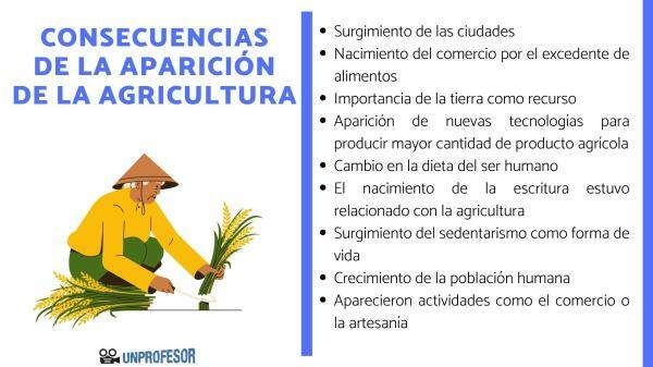 Consecințele apariției agriculturii - Care sunt consecințele apariției agriculturii