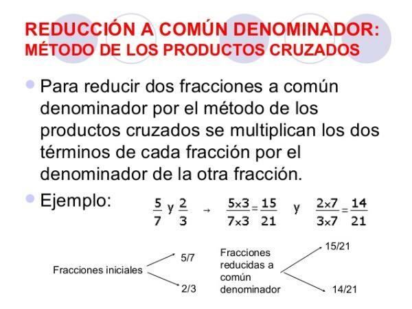 What is the denominator and examples - What is the common denominator: definition for children 