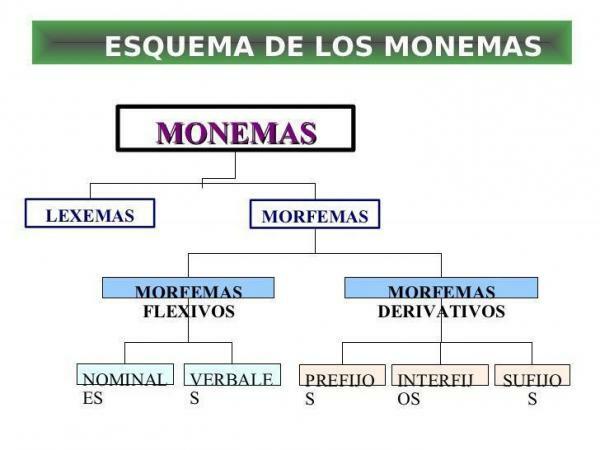 Monema: definition and examples - Types of monemas