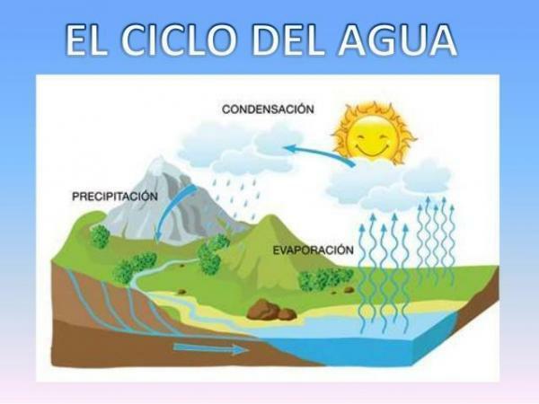 Water Cycle Information - For Kids - The 4 Phases of the Water Cycle