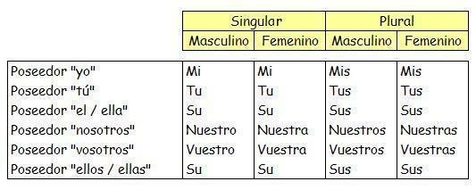 Exemple de déterminants possessifs en espagnol - Déterminants possessifs 