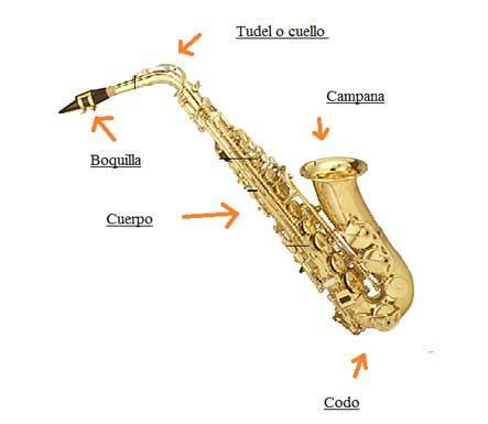 Saksofono dalys - visos saksofono dalys