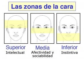 相貌心理学：顔の特徴と性格