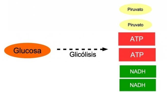 schema di glicolisi