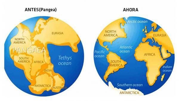 Formation of the continents: summary
