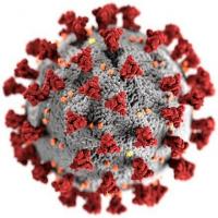 De 5 typerna av virus och hur de fungerar