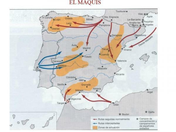 Kdo so bili makiji v španski državljanski vojni - izvor makije 