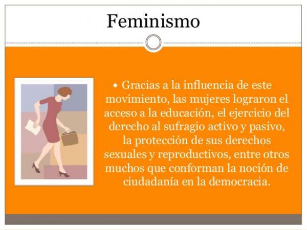 Feminizmus vo filozofii: Definícia a história - Definícia feminizmu vo filozofii
