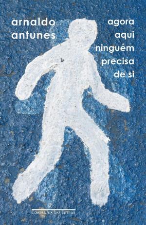 Agora aqui no precīzs de si (2015), autors Arnaldo Antunes