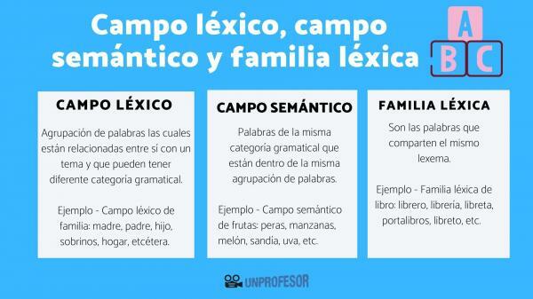 Lexikalt fält, semantiskt fält och lexisk familj - Vad är det semantiska fältet - med exempel 