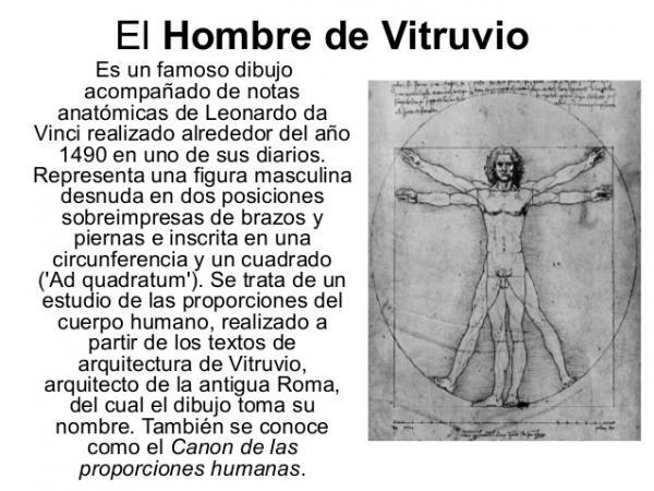 Vitruvian Man - Definīcija un raksturojums - Sacra Vetustas
