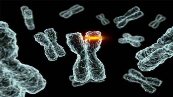 Genomic mutations: definition and examples