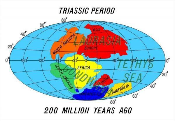 Triassic period: main characteristics
