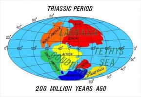 Periodo triassico: caratteristiche principali