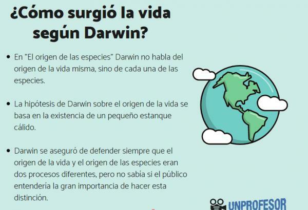 How life arose according to Darwin-Why did not Darwin publish his hypothesis about how life arose?