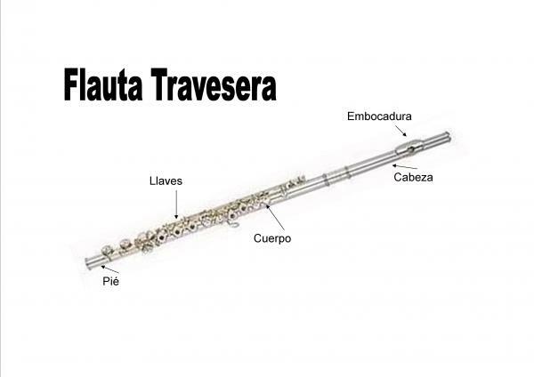 Parts of the transverse flute