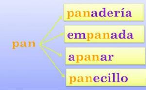 PAN-ordfamilj