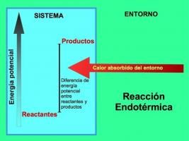 Különbség az endoterm reakciók és az exoterm reakciók között