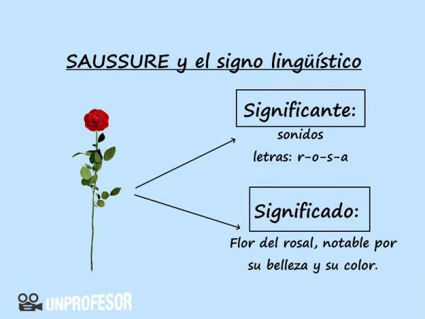 Saussure: Signifikan dan Signifikan - Dengan Contoh
