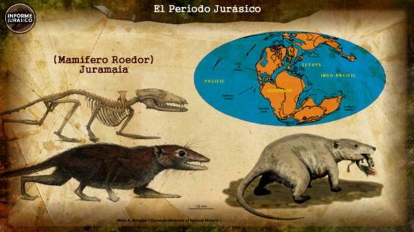Características do período Jurássico