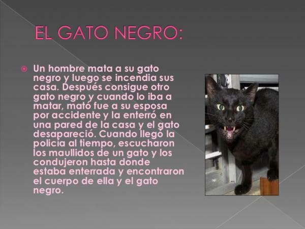 Edgars Alans Po: Vissvarīgākās grāmatas - Melnais kaķis, viena no slavenākajām Po grāmatām 